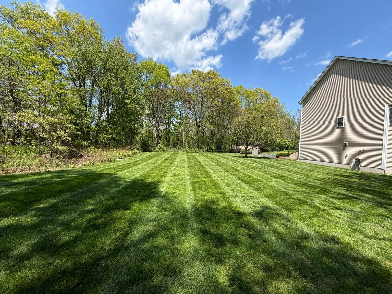 Landscaping project