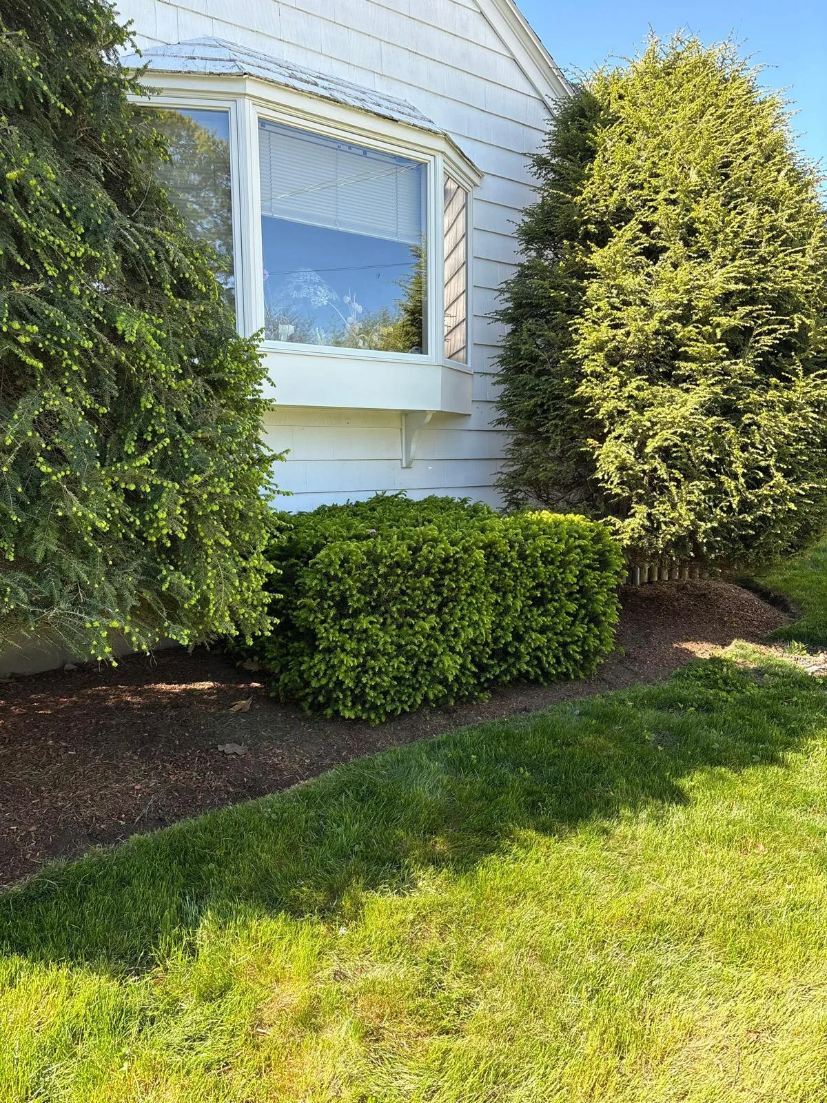 Landscaping project